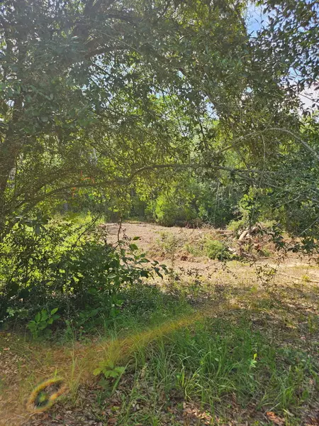 4957 Timothy Twitchell Drive, Milton, FL 32583