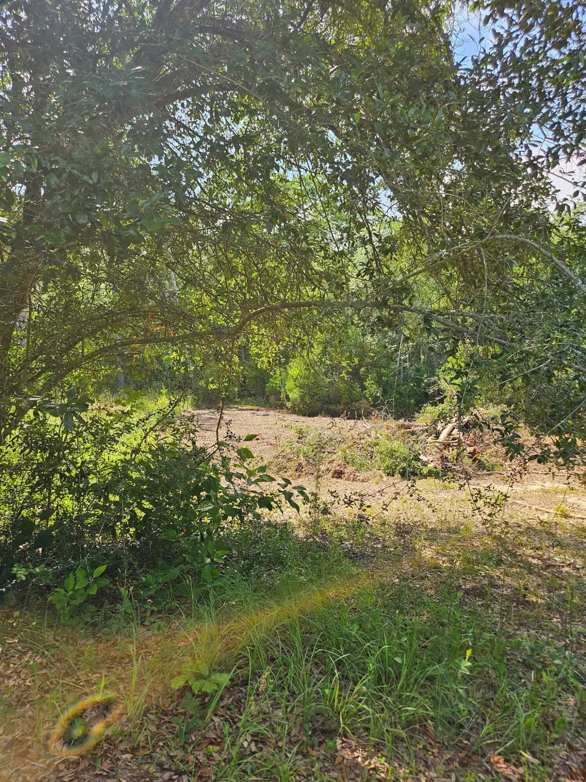 Milton, FL 32583,4957 Timothy Twitchell Drive