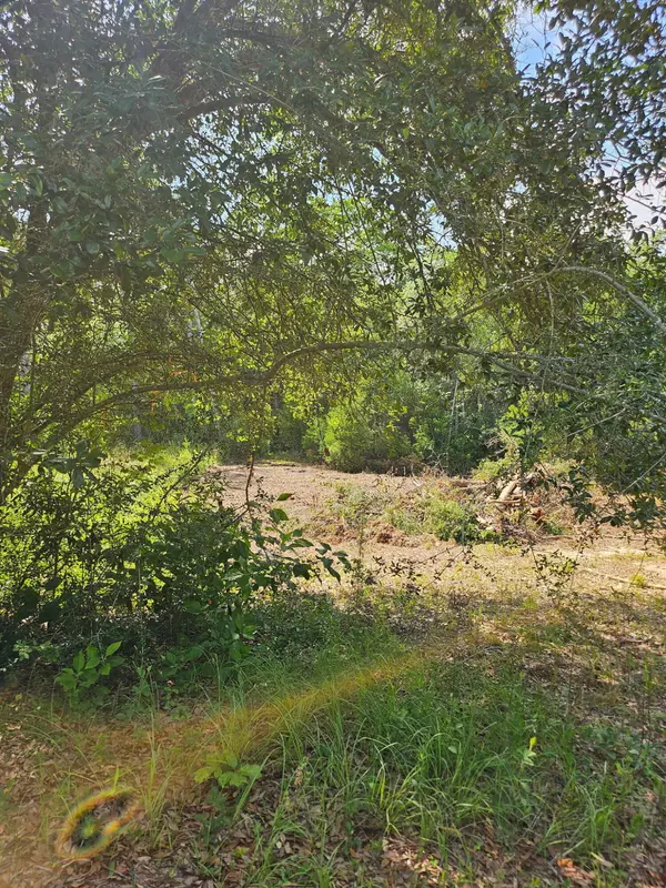 4957 Timothy Twitchell Drive, Milton, FL 32583