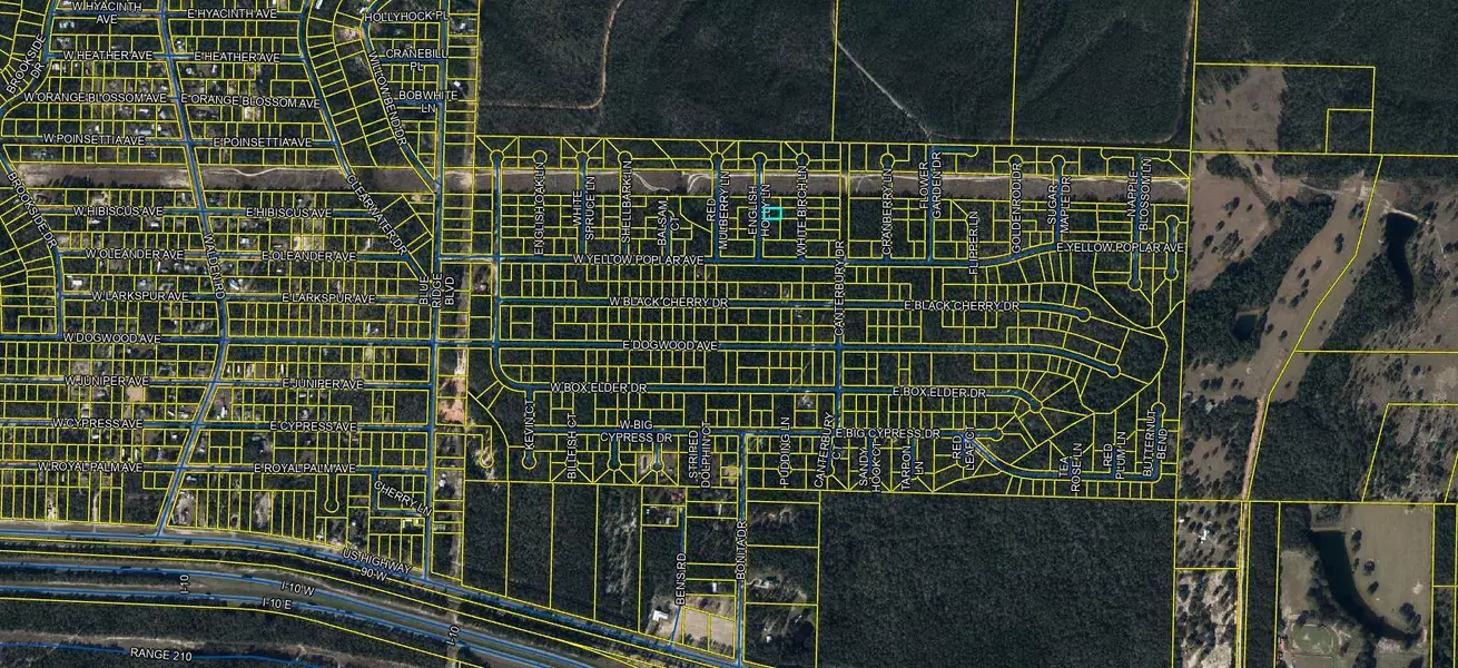 0 W Yellow Popular Avenue, Defuniak Springs, FL 32433