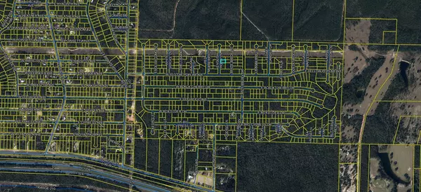 Defuniak Springs, FL 32433,0 W Yellow Popular Avenue