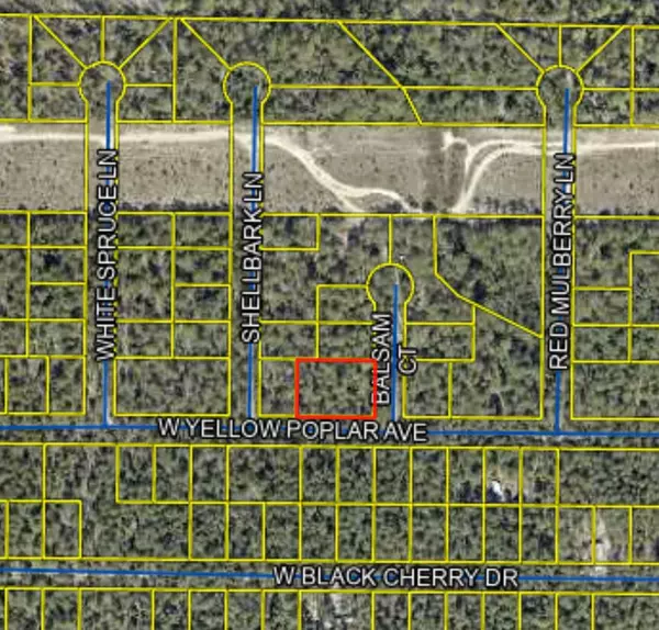 Defuniak Springs, FL 32433,0 W Yellow Popular Avenue