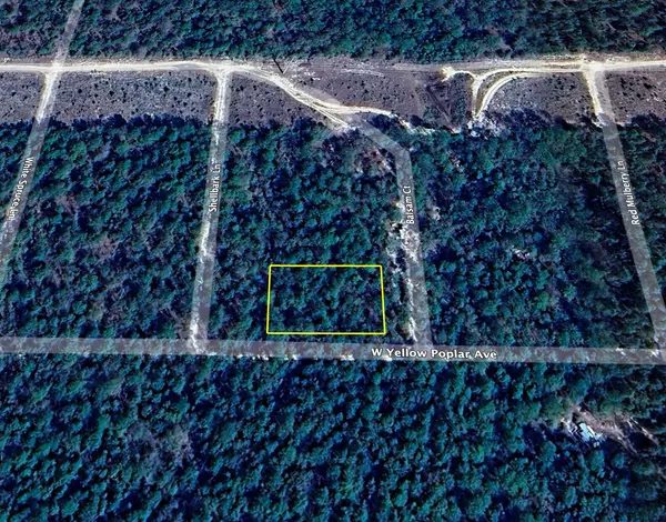 Defuniak Springs, FL 32433,0 W Yellow Popular Avenue