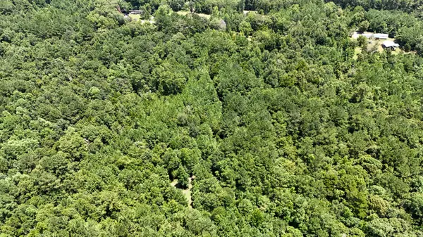 Defuniak Springs, FL 32435,0 Tyner Lane