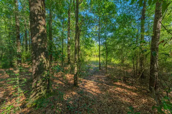 Milton, FL 32583,.36 Ac xxx Deaton Bridge Road