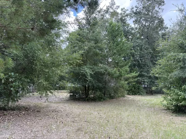 Freeport, FL 32439,188 Palmetto Avenue