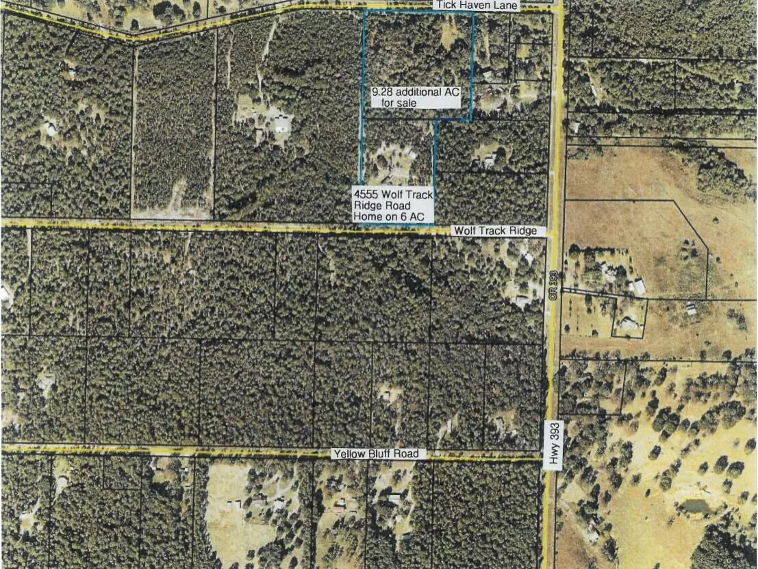 Crestview, FL 32539,4555 Wolf Track Ridge #15.15 acres