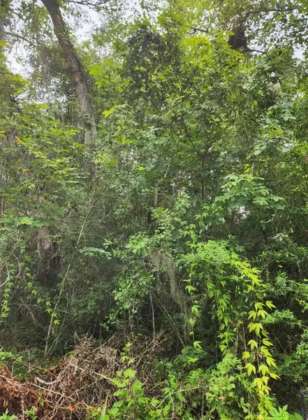 Lot 7 5th Street, Santa Rosa Beach, FL 32459