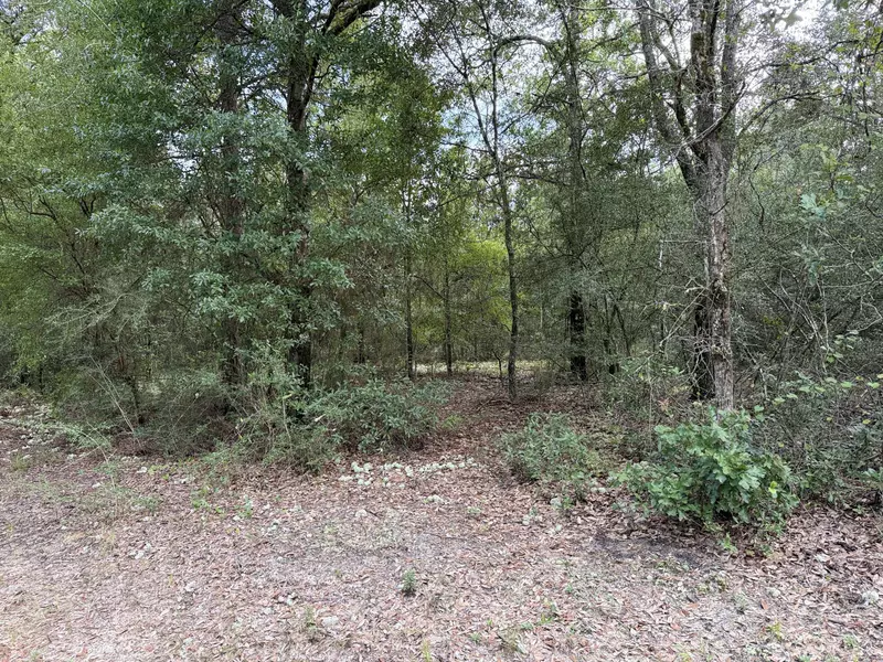 00 Hamilton Circle, Crestview, FL 32539