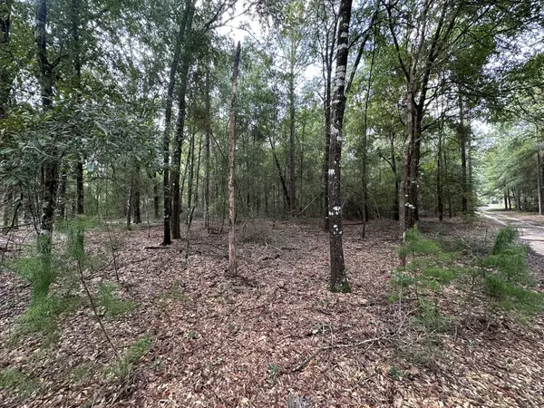 Crestview, FL 32539,Lot D Pineforest Drive