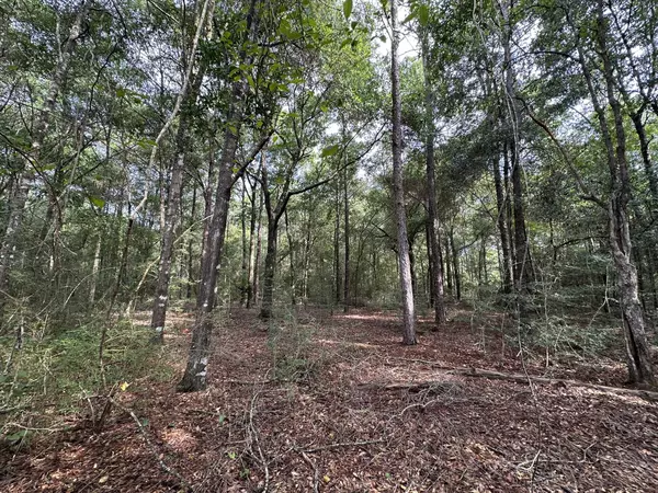 Crestview, FL 32539,Lot D Pineforest Drive