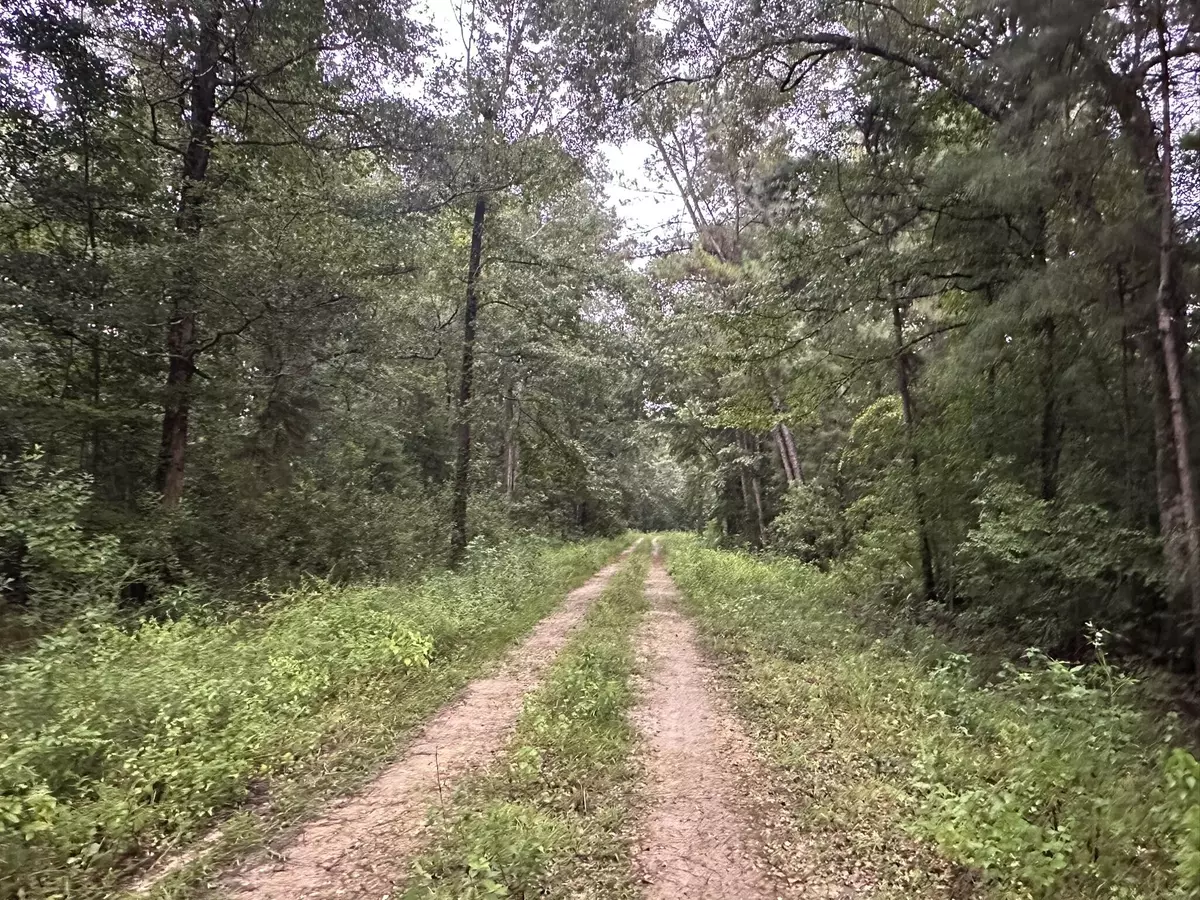 Wewahitchka, FL 32465,304 Riverside Circle