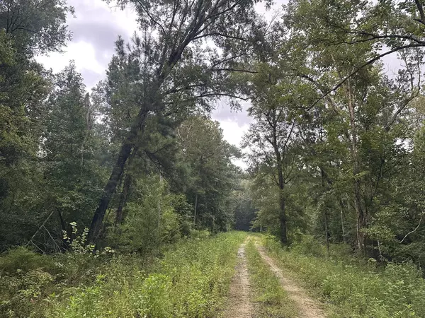 Wewahitchka, FL 32465,272 Riverside Circle