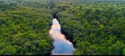 TBD Helms Street, West Bay, FL 32413