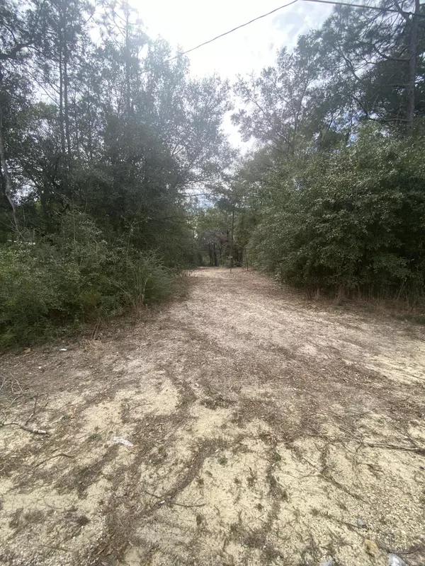 Crestview, FL 32539,68+Acres Patriot Lane