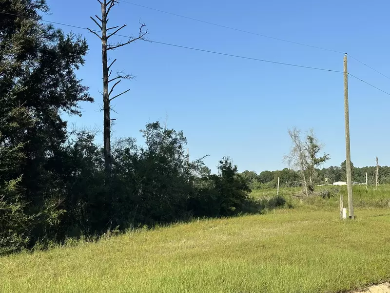 Tract#6201 W County Hwy 181  #Nat B-01, Defuniak Springs, FL 32433