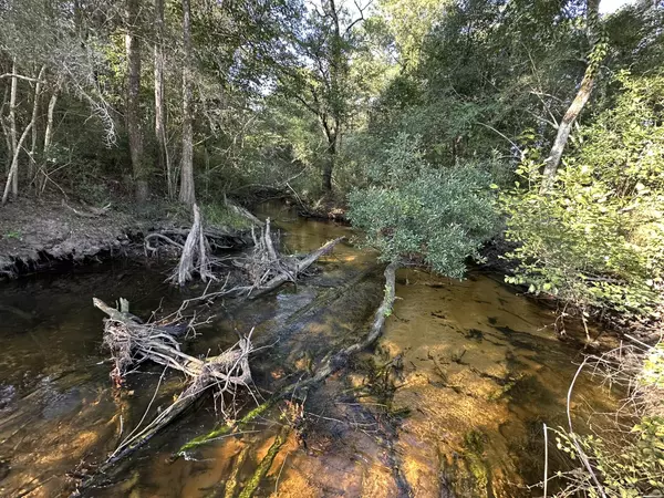 Defuniak Springs, FL 32433,Tract#6201 W County Hwy 181  #Nat B-01