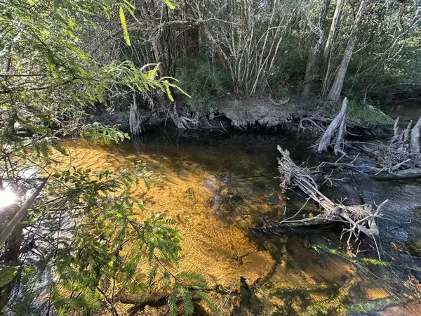 Defuniak Springs, FL 32433,Tract#6201 W County Hwy 181  #Nat B-01