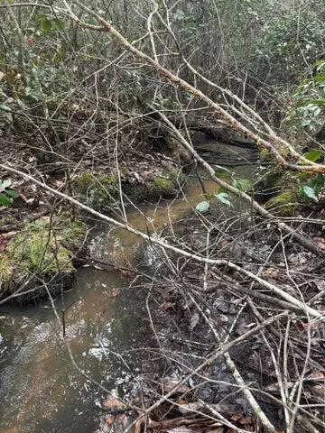 Florala, AL 36442,1461 Babe Lawrence Road