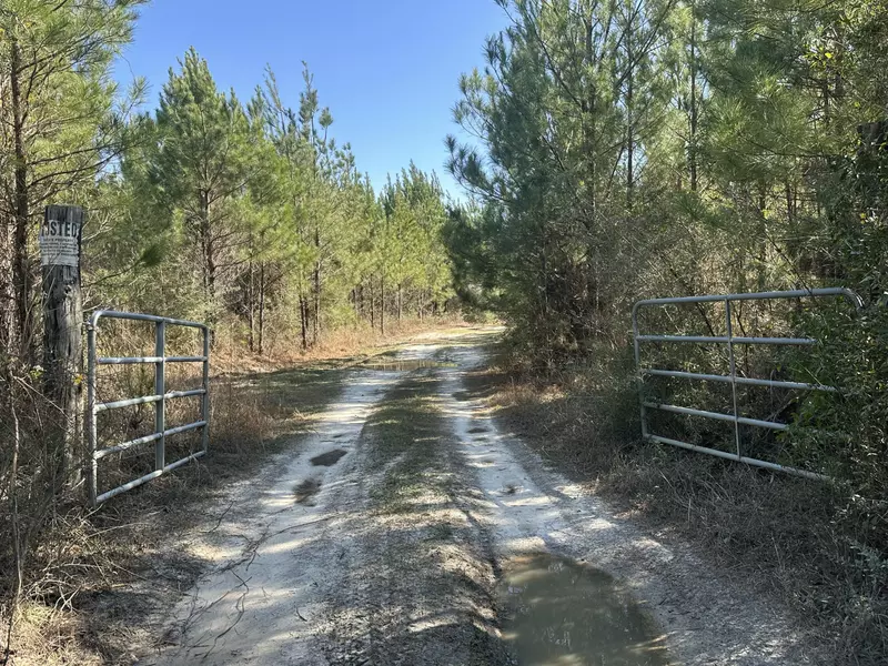 Tract#6317 Harris Stevenson Road, Bonifay, FL 32425