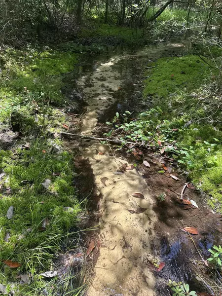 000 Co Hwy 1084, Defuniak Springs, FL 32433