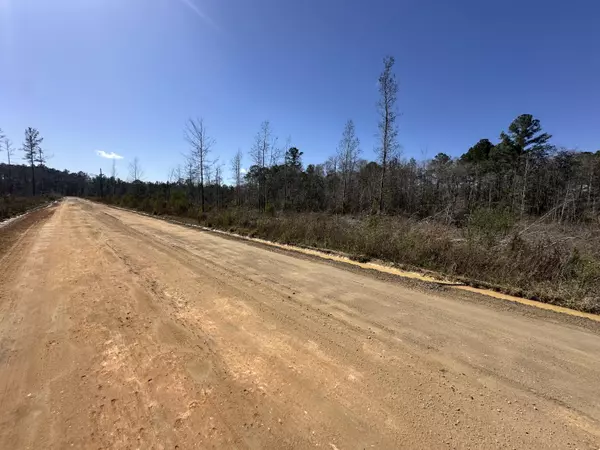 Chipley, FL 32428,Tract#6402 N Chance Road