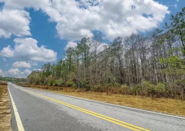 Caryville, FL 32427,Tract#6409 NE River Road