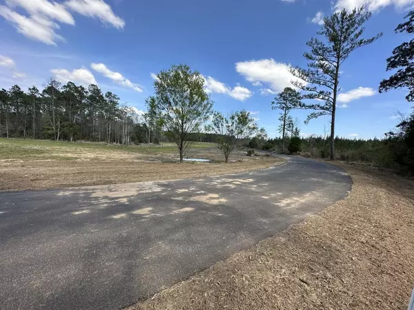 Caryville, FL 32427,Tract#6416 Brock Road