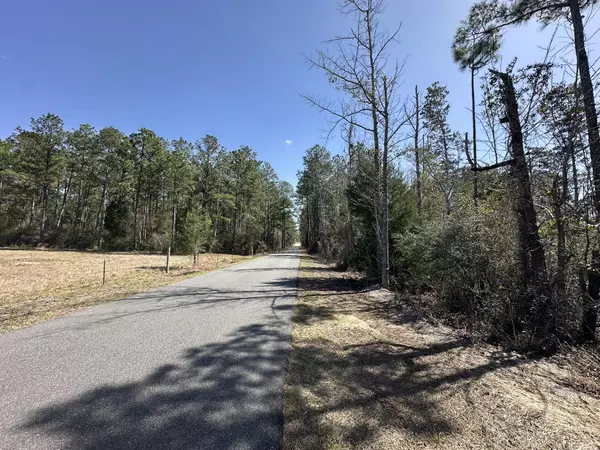 Caryville, FL 32427,Tract#6416 Douglas Ferry North Road