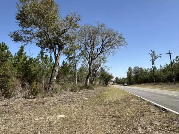 Caryville, FL 32427,Tract#6416 Douglas Ferry North Road