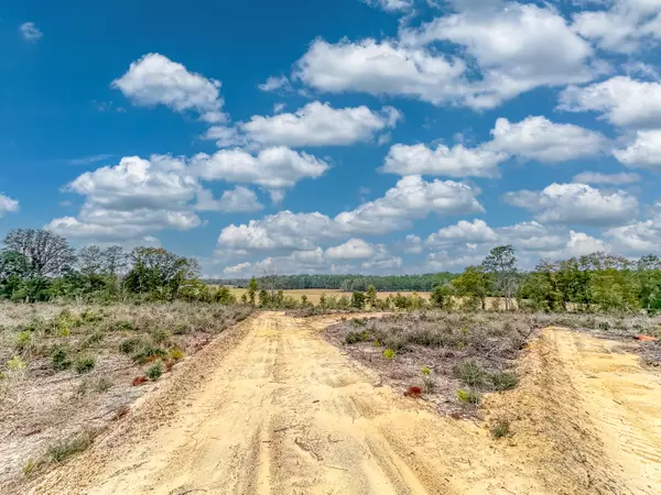 Caryville, FL 32427,Tract#6418 Bryant Bay Road  #Mattox Springs NW 97