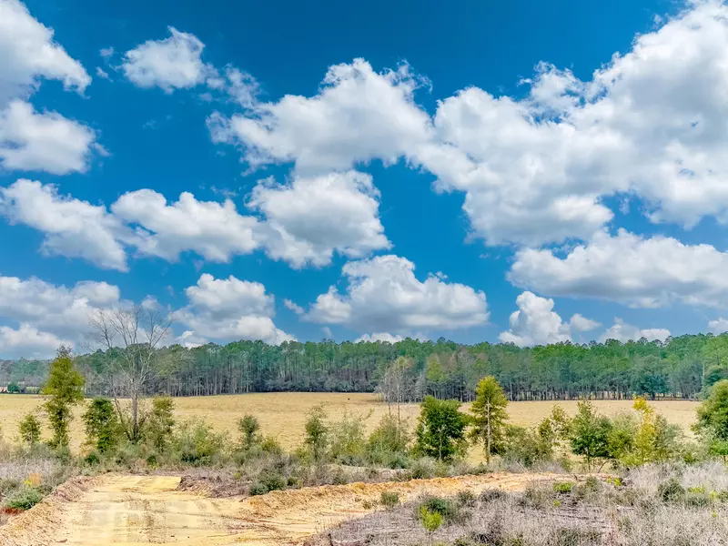 Tract#6418 Bryant Bay Road  #Mattox Springs NW 97, Caryville, FL 32427