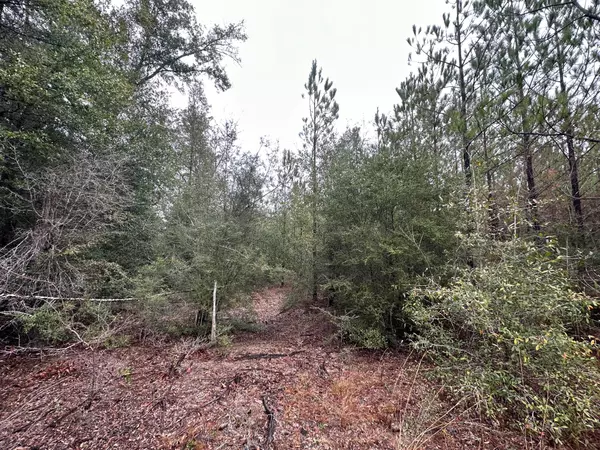 Caryville, FL 32427,Tract#6418 N Mattox Springs Road #N1