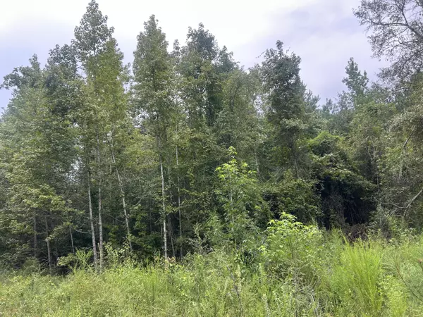 Ponce De Leon, FL 32455,1558 John Eddy Lane