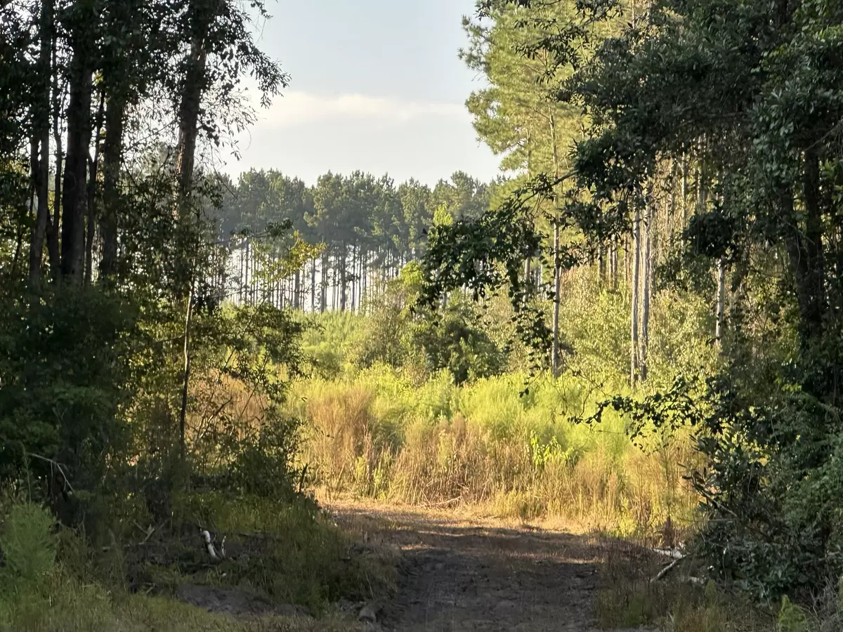 Defuniak Springs, FL 32433,Tract#6201 Doyle Morgan Road