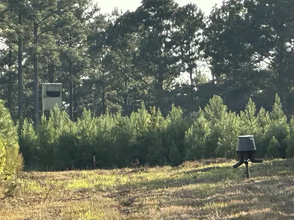 Defuniak Springs, FL 32433,Tract#6201 Doyle Morgan Road