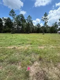 Defuniak Springs, FL 32433,1704 Watson Road