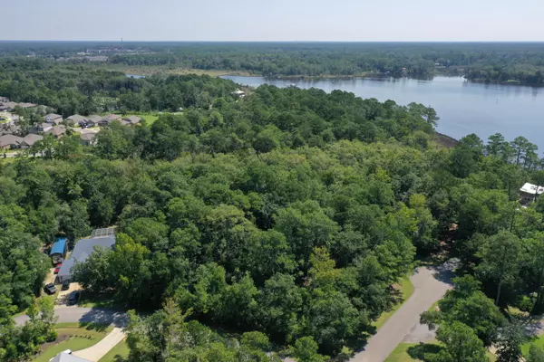 Freeport, FL 32439,TBD Lauray Court