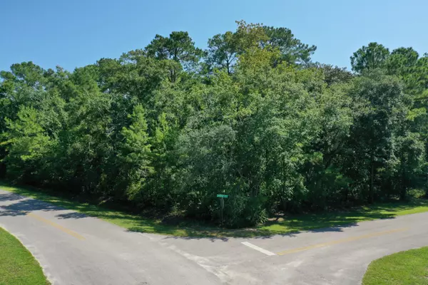 Freeport, FL 32439,TBD Lauray Court