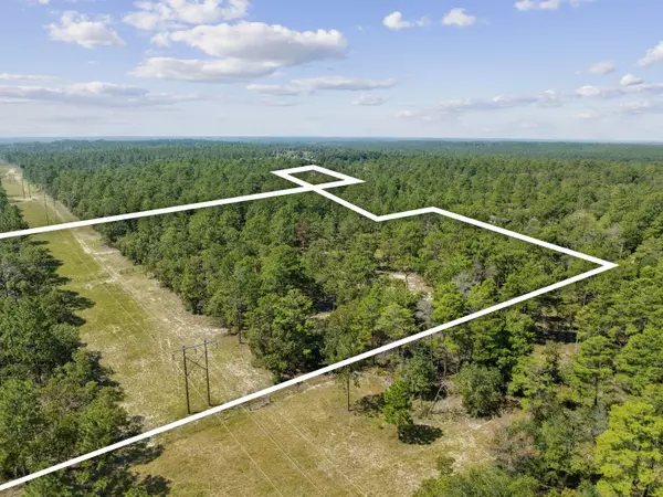Defuniak Springs, FL 32433,10 Acres White Dog Lane
