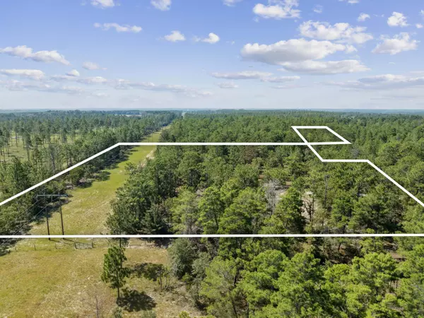 10 Acres White Dog Lane, Defuniak Springs, FL 32433