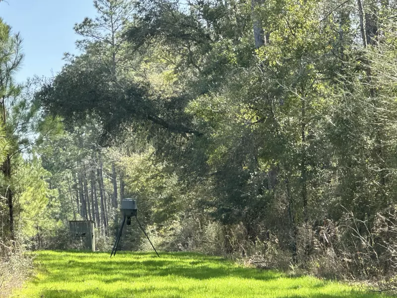 Tract#6416 S Douglas Ferry Road, Caryville, FL 32427