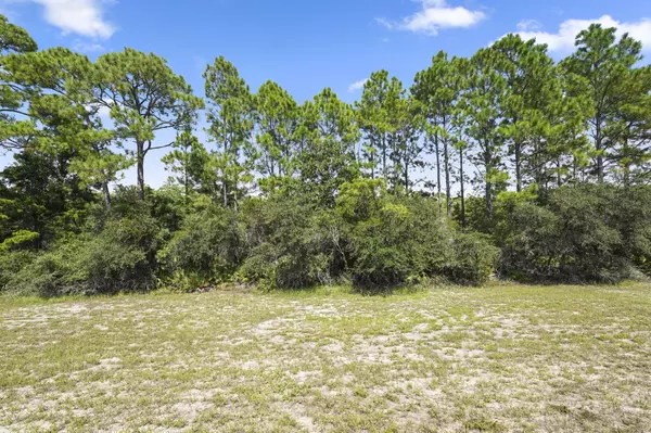 Santa Rosa Beach, FL 32459,48 Cypress Walk