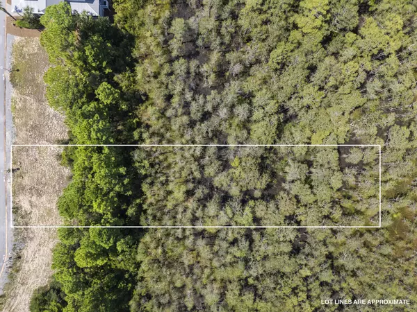 Santa Rosa Beach, FL 32459,48 Cypress Walk