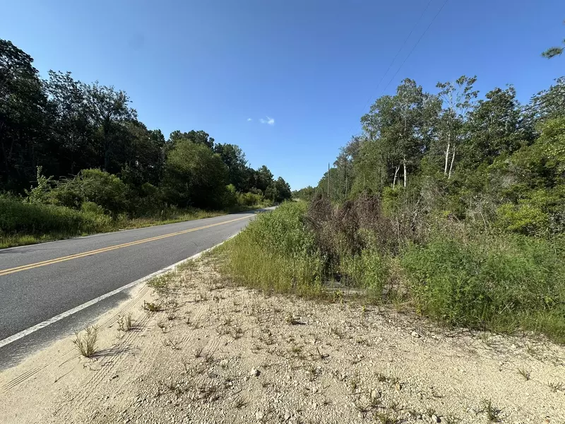 Tract#6409 River Road  #250.72+/-AC, Caryville, FL 32427
