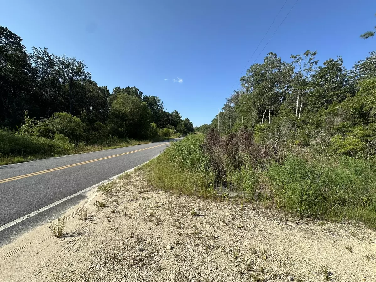 Caryville, FL 32427,Tract#6409 River Road #250.72+/-AC