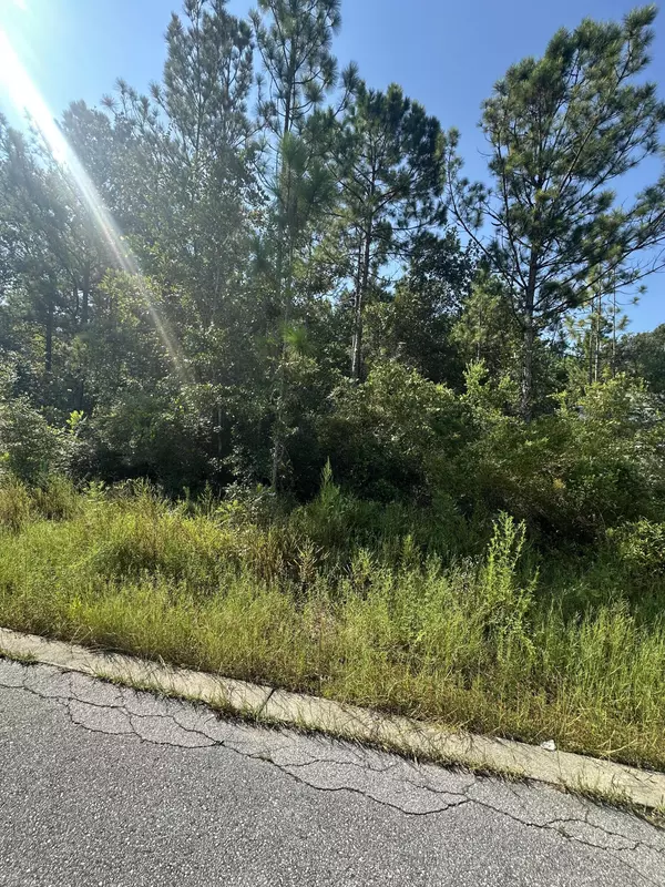 Freeport, FL 32439,00 Sandhill Court