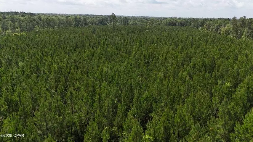00 Douglas Ferry Road, Chipley, FL 32428