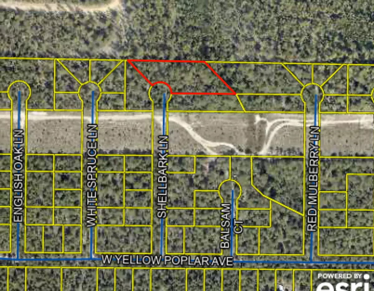 Defuniak Springs, FL 32433,1 ACRE Shellbark Lane