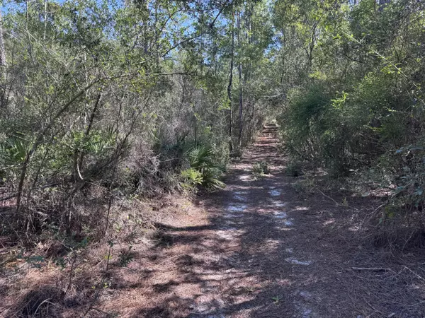 Defuniak Springs, FL 32433,Lot 9 Red Mulberry Lane